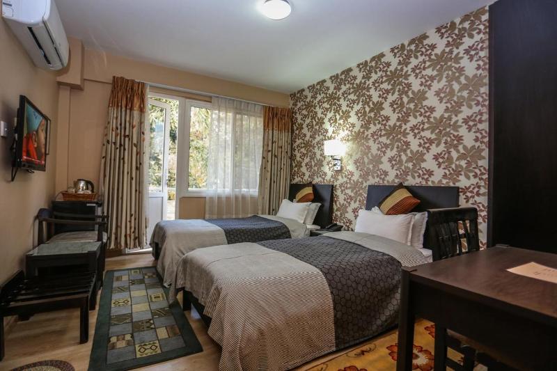 Deluxe Double or Twin Room with Balcony image 1