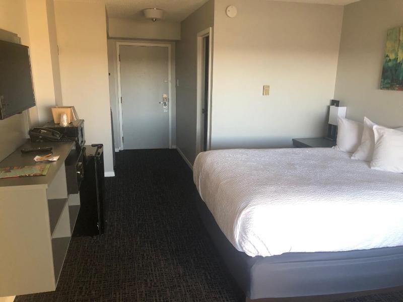 Deluxe Queen Room image 3