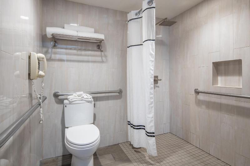 King Room with Roll-In Shower - Disability Access image 2