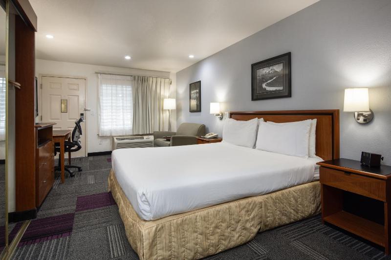 King Room with Roll-In Shower - Disability Access image 3