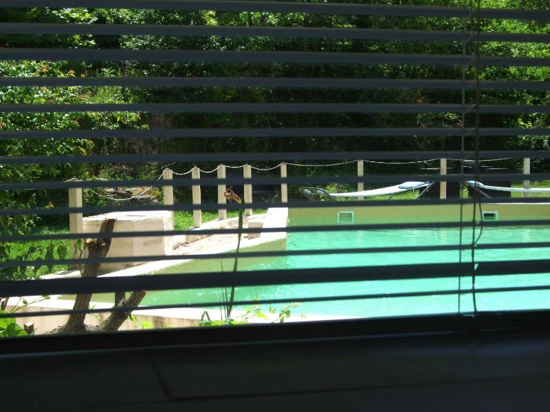 One-Bedroom Apartment image 4