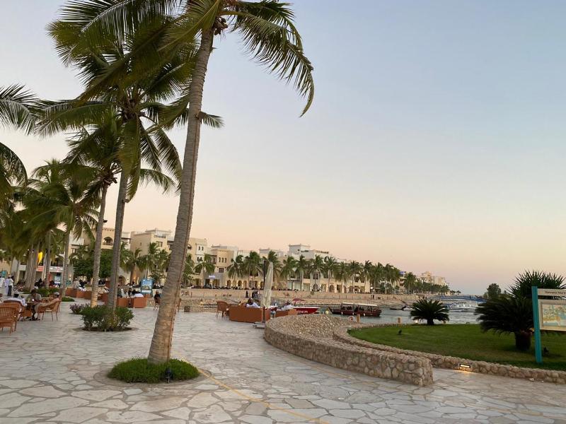 Purple Lily Studio Hawana Lagoons Salalah - image 3