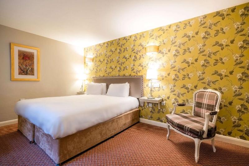 King Room with Roll-In Shower - Disability Access image 1