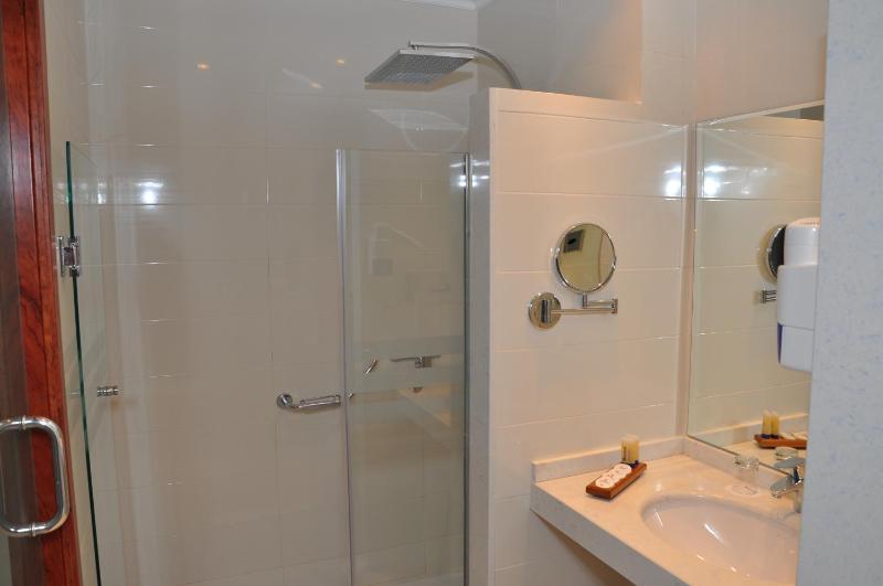 Luxury Single Room image 2