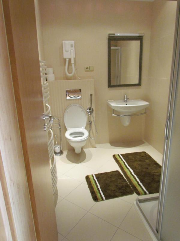 Deluxe Double or Twin Room image 4