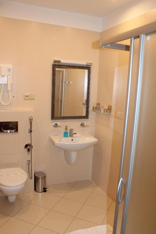 Standard Double or Twin Room image 4