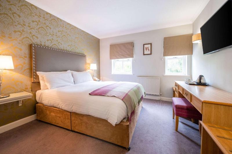 Standard Double Room image 3