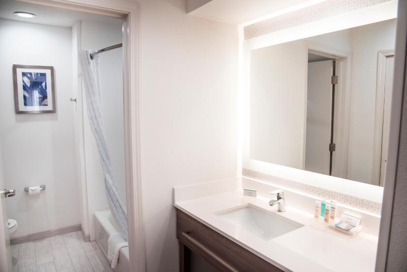 One-Bedroom King Suite - Non-Smoking image 2