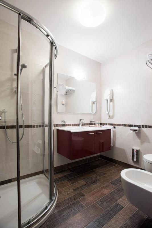 One-Bedroom Apartment image 4