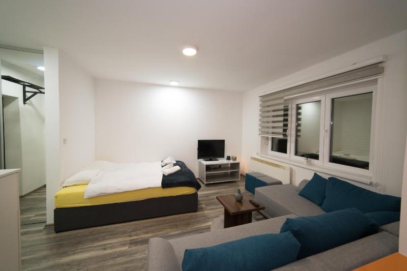 One-Bedroom Apartment image 3
