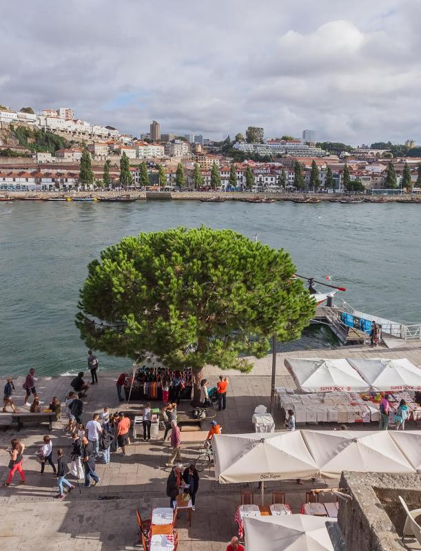 Porto River - image 7