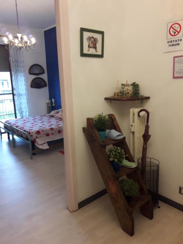 Standard Apartment image 4