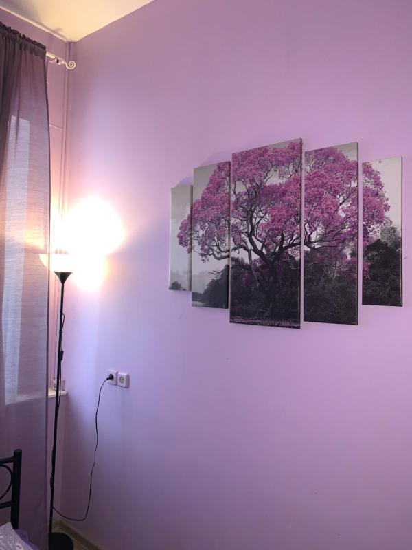 Double Room with Shared Bathroom image 2