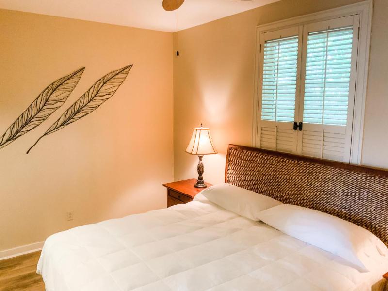 Deluxe King Suite image 4