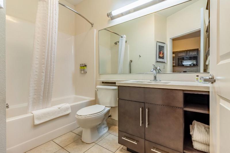 King Studio Suite image 3