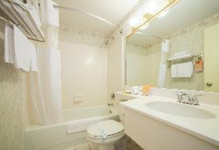 Room #5663421 image 3