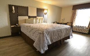 Room #40987407 image 3