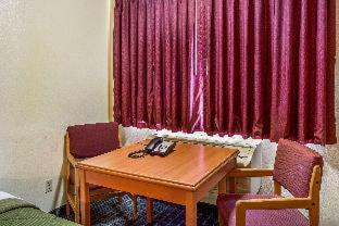 Room #32681612 image 3