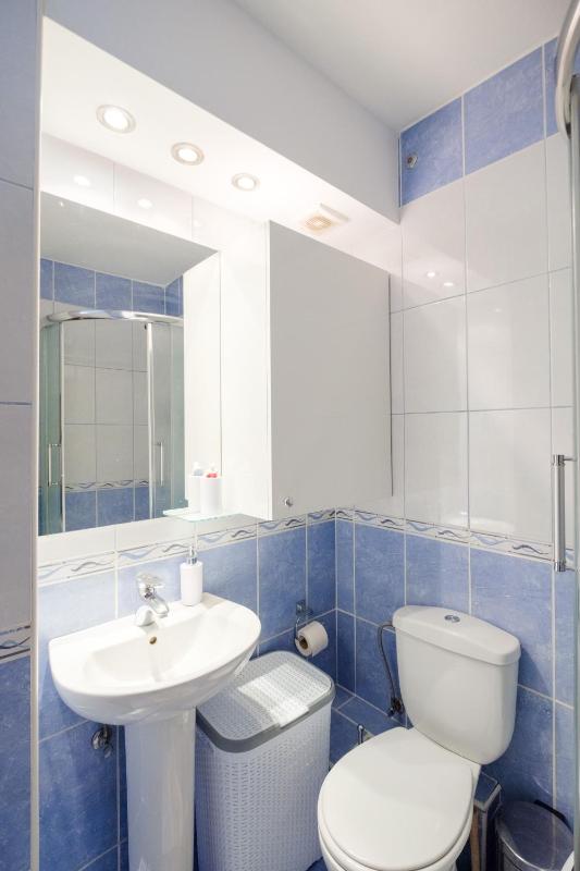 One-Bedroom Apartment image 4