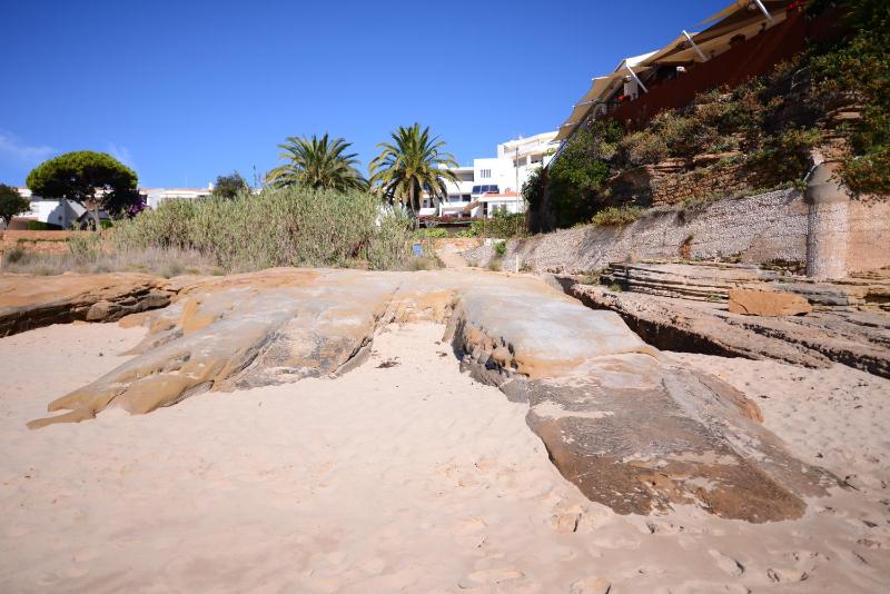 Luz Beach Ocean Front Apartment - image 10