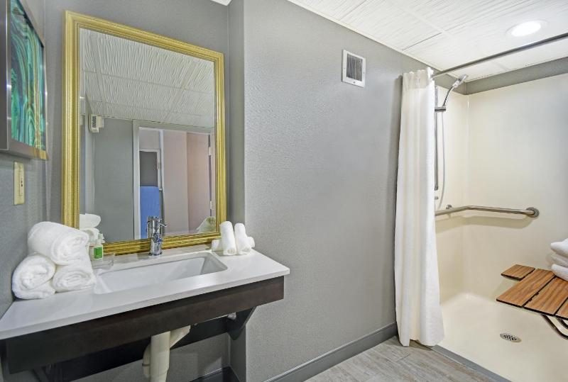 King Room - Disability Access Hearing Accessible - Roll-In Shower image 3