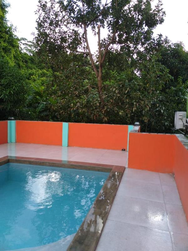 Bougainvillea Apartments - image 16