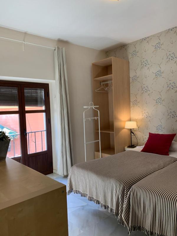 Large One-Bedroom Apartment image 3