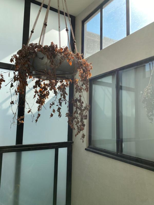 Casa Londres - image 2