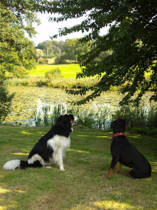 Abbey Farm Bed And Breakfast - image 20