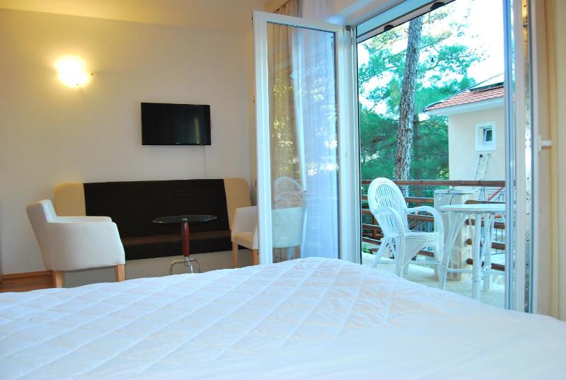 Studio with Balcony image 3