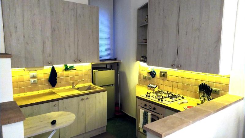 One-Bedroom Apartment image 4