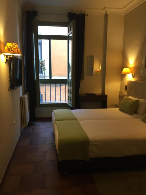 Double or Twin Room image 3