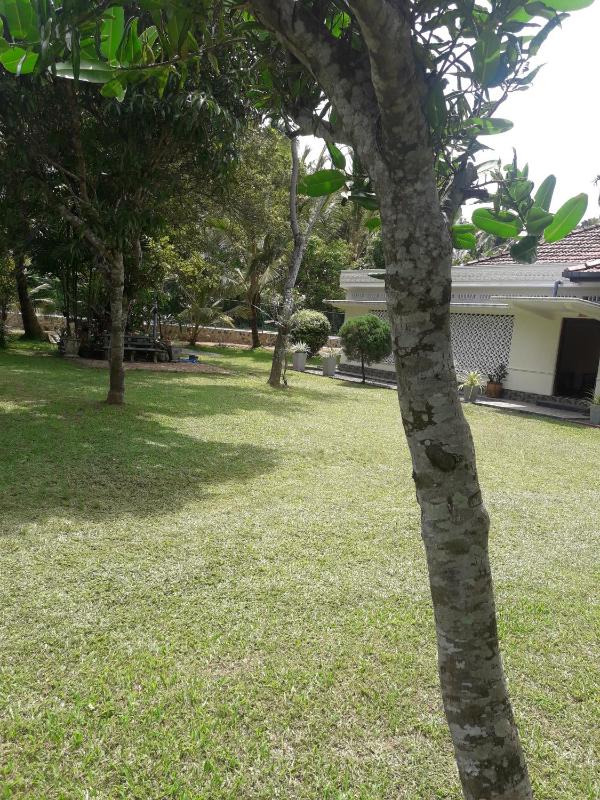 Sawanga Home Stay - image 8