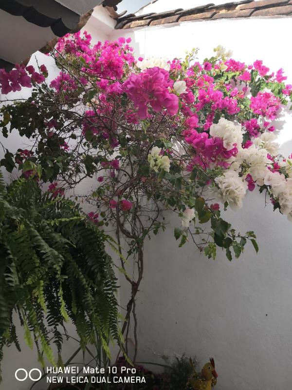 Casa Azul Leyva - image 30
