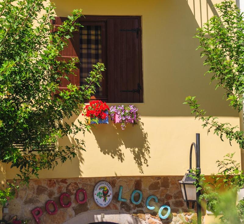 Poco Loco Bed & Breakfast - image 16