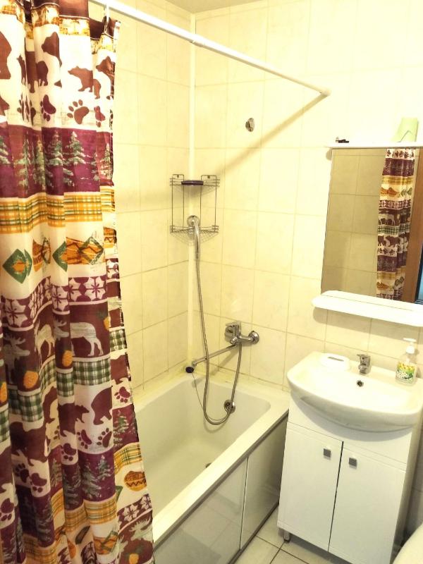 One-Bedroom Apartment image 2