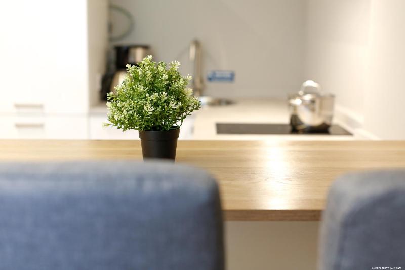 Studio Apartment image 4