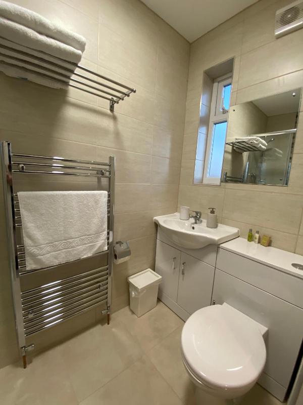 Deluxe Double Room image 4