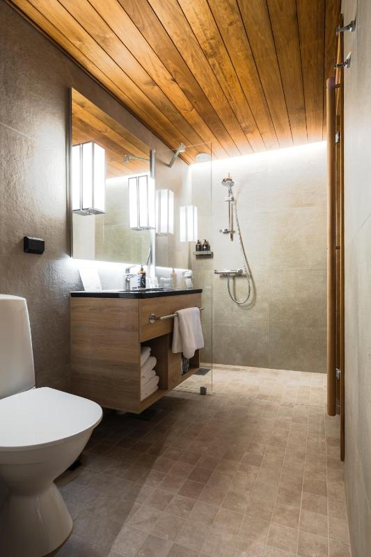 Arctic Junior Suite with Sauna  image 4