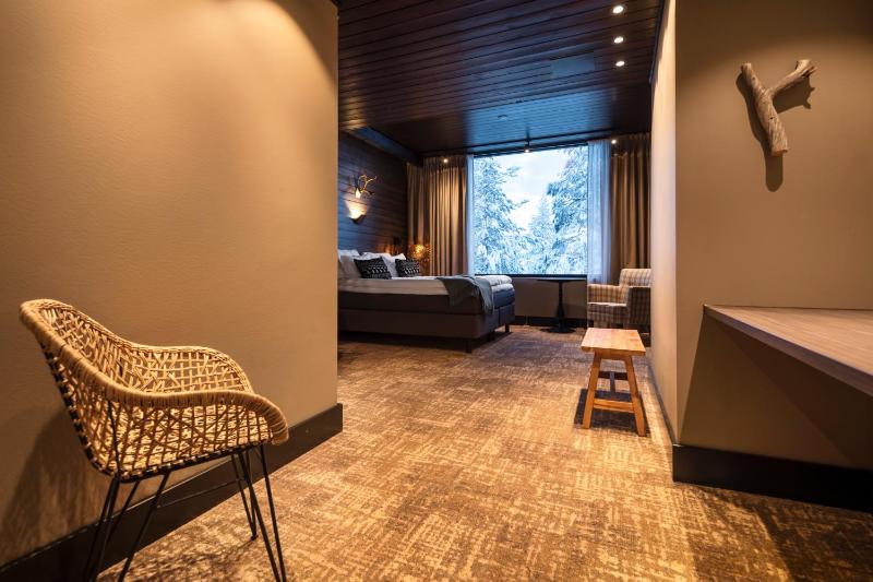 Arctic Junior Suite with Sauna  image 2