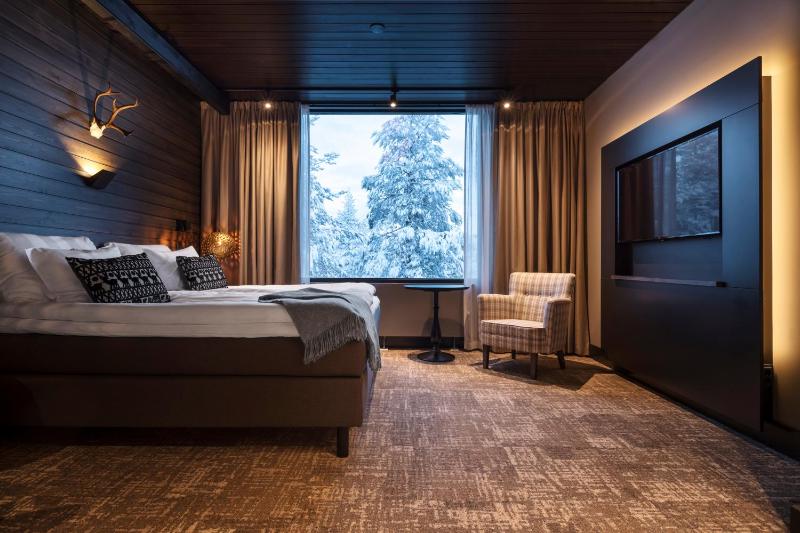 Arctic Junior Suite with Sauna  image 3
