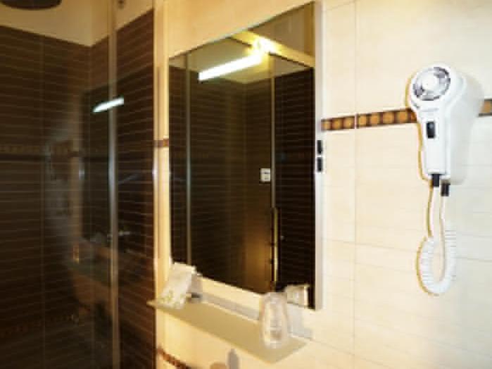 Double or Twin Room image 4