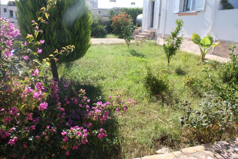 Apartment with Garden View image 1