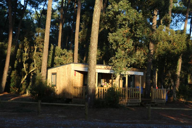 Cottage Key West image 1