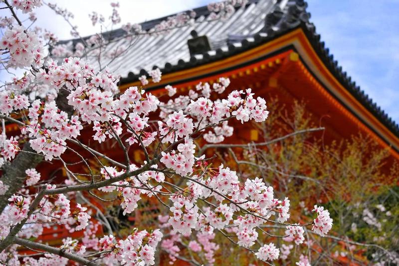 Kyomai Inn - image 16