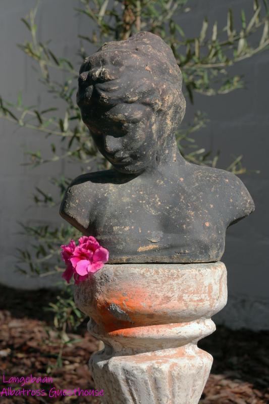 Albatross Guesthouse - image 14