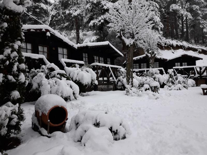 Bungalow (3 Adults) with private Bathroom image 2