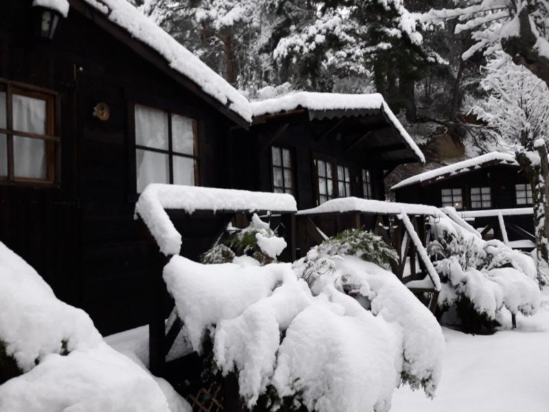 Bungalow (3 Adults) with private Bathroom image 3