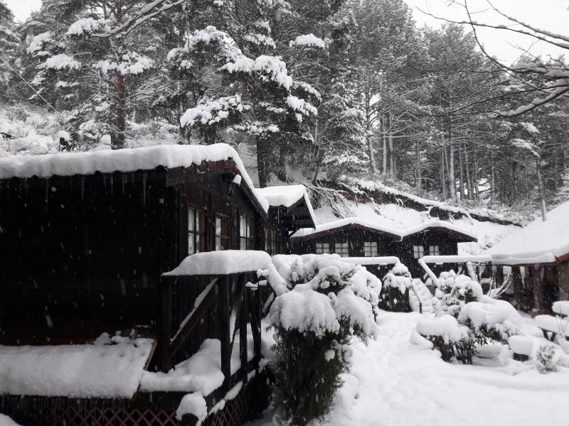 Bungalow (3 Adults) with private Bathroom image 4