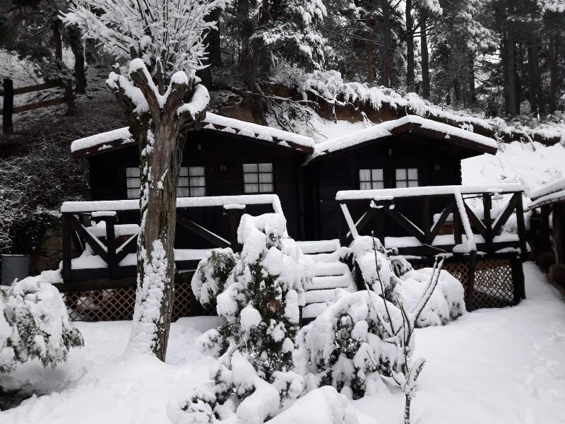  Bungalow (2 Adults) with Shared Bathroom image 4